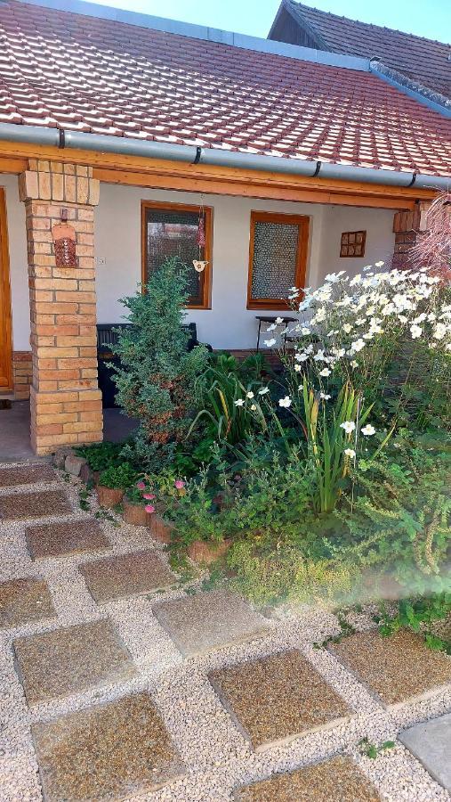 Mandula Apartman Szeged Extérieur photo